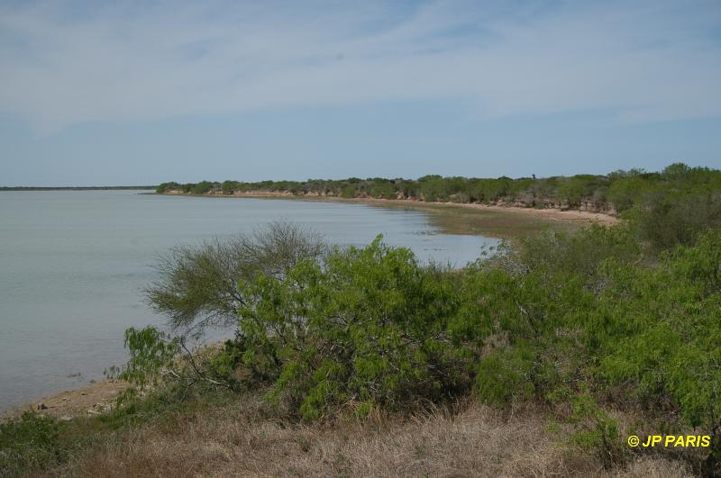 Réserve de la lagune d'Atascosa